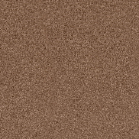 DeepWakes caramel leather upholstery swatch