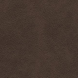 Leather upholstery color swatch for Crossplex set
