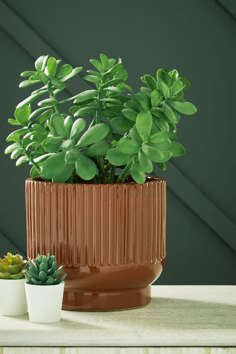 Avalyah Burnt Umber Vase (Set of 2) from Decor Furniture