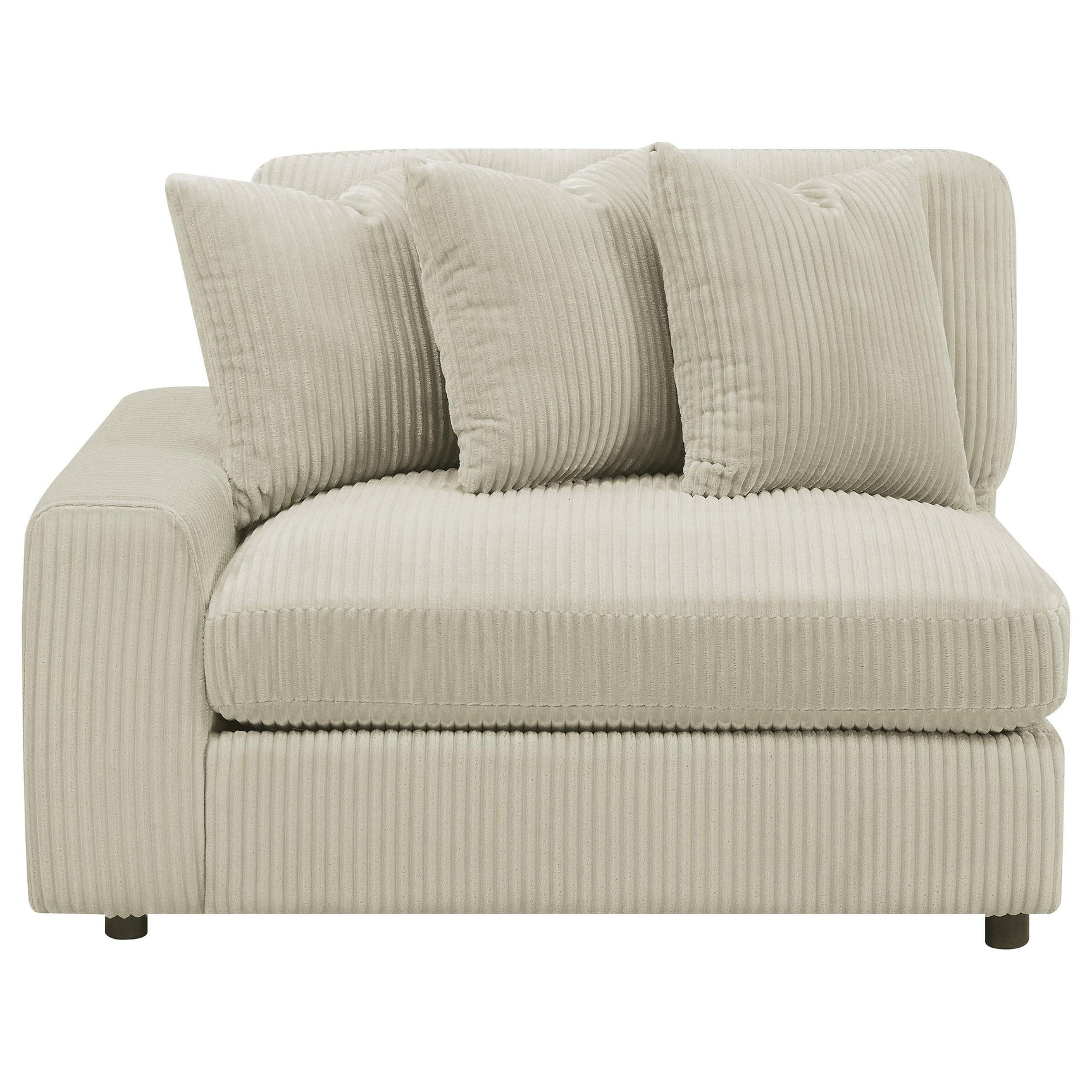 Room perspective highlighting Blaine Reversible Chaise Sofa