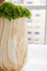 Cammen Vase detail with light reflection