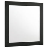 Caraway Dresser Mirror Black front view