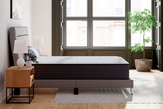 Anniversary Edition Firm White Queen Mattress from Decor Furniture