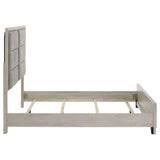 Farre Queen Upholstered Platform Panel Bed Washed Grey view 6