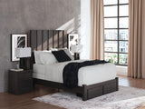 Fraluna Charcoal Panel Storage Bedroom Set view 11