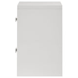 Viana Contemporary 2-Drawer Nightstand with Chrome Pulls White High Gloss view 5