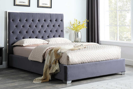 Rose Grey Velvet Tufted Platform King Bed front view showing 55" high headboard