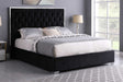 Front view of Rose Black Upholstered Tufted Queen Bed