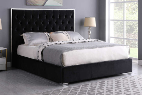 Front view of Rose Black Upholstered Tufted Queen Bed