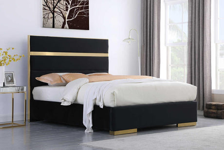 Cartier Black and Gold Velvet Upholstered Platform King Bed front view