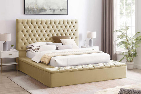 Cataline dark beige velvet upholstered tufted queen bed front angle