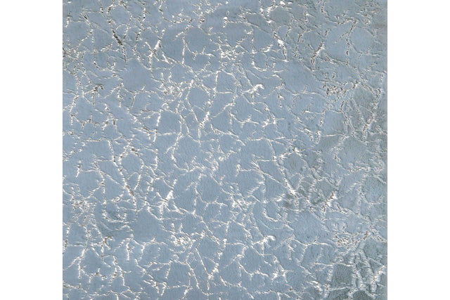 Rabbit Silver 5x7 medium rug front angle