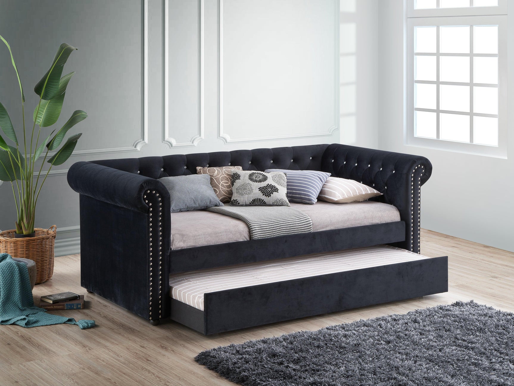 Ellie Black Velvet Tufted Trundle Daybed side view