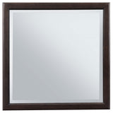 Emberlyn Dresser Mirror reflected room view