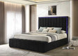 Florence queen bed with LED-lit headboard in black upholstery