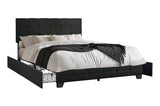 Hectic Black Platform Queen Bed