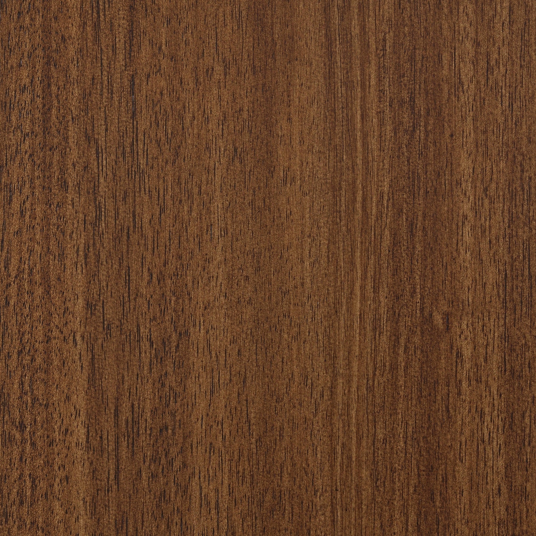 Lyncott Dining Server positioned in dining room setup