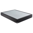 Mercer 9" Twin Standard Box Spring Foundation 350416T - Ella Furniture
