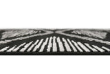 Posh 152-Crow medium area rug displayed in living room setting