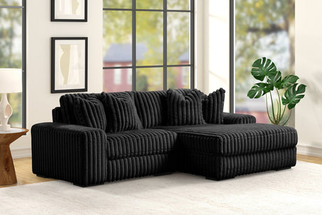 Sunday Black 2-Piece Sectional sofa front angle view