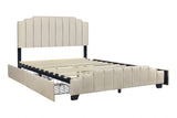 Jaddy Beige Velvet Upholstered Platform Queen Bed