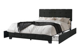 Hectic Black Platform Queen Bed