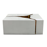 Ariana white coffee table top view
