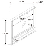 Stillwater Dresser Mirror with Jewelry Shelf view 4